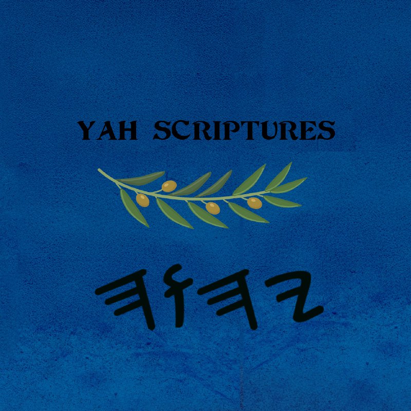 The Writings of Aḇraham - Paperback 6×9