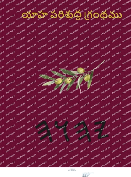 యాహ పరిశుద్ధ గ్రంథము అపోక్రిఫా