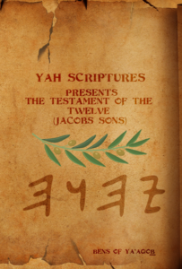 Book Cover: The Testament of the Twelve: (Jacobs Sons)