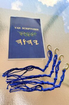 TsitTsit - 1 set of 4